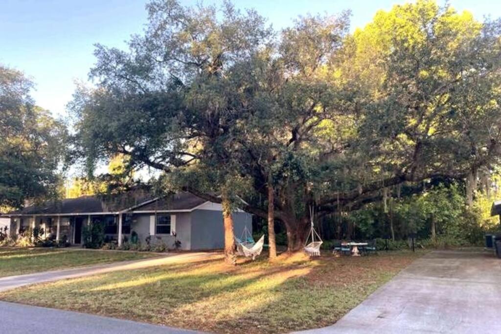 Nature Coast Getaway #1 - Cozy 2 Bedroom Homosassa Dış mekan fotoğraf