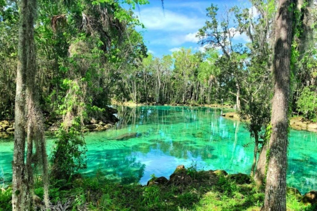 Nature Coast Getaway #1 - Cozy 2 Bedroom Homosassa Dış mekan fotoğraf